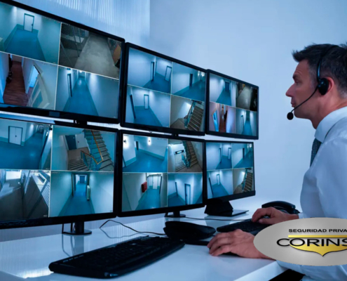 seguridad-corinsa-portafolio-2